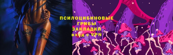 дмт Алзамай