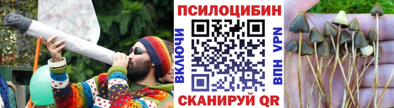 Псилоцибиновые грибы ЛСД  Волгоград 